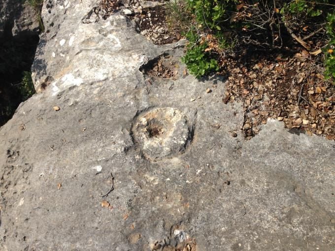 yuvarlak oyma define işareti