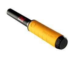 Minelab Pro Find 20